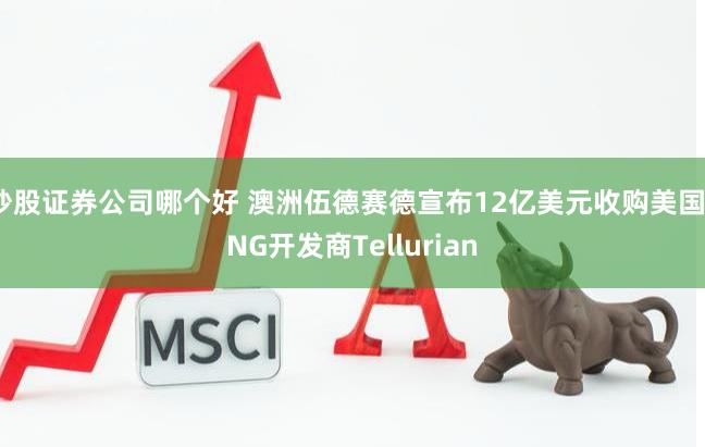 炒股证券公司哪个好 澳洲伍德赛德宣布12亿美元收购美国LNG开发商Tellurian