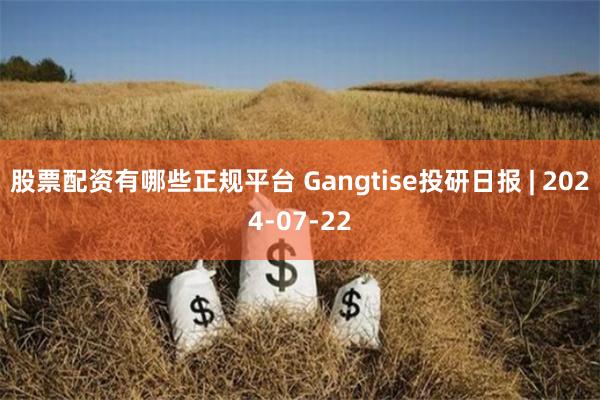 股票配资有哪些正规平台 Gangtise投研日报 | 2024-07-22