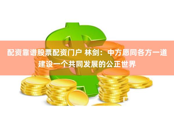 配资靠谱股票配资门户 林剑：中方愿同各方一道建设一个共同发展的公正世界