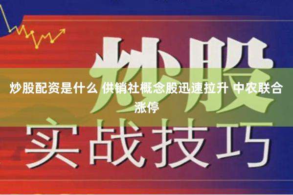 炒股配资是什么 供销社概念股迅速拉升 中农联合涨停