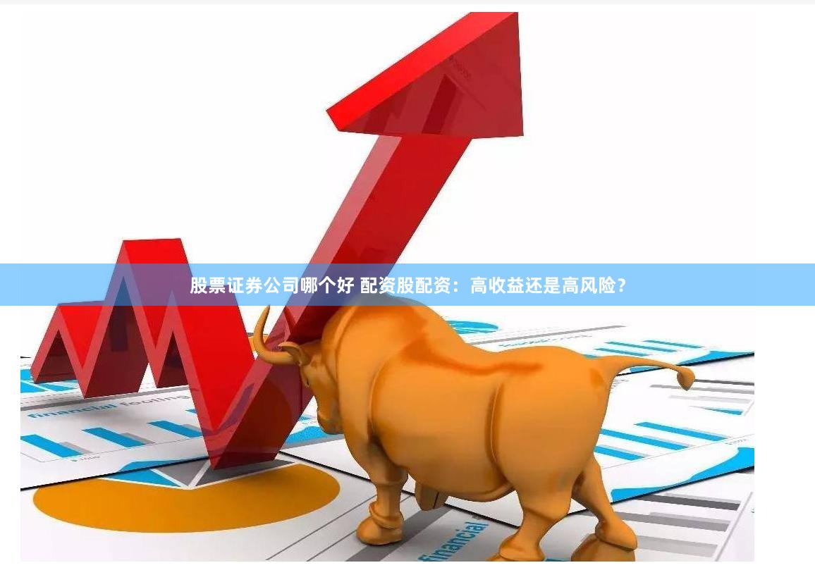 股票证券公司哪个好 配资股配资：高收益还是高风险？